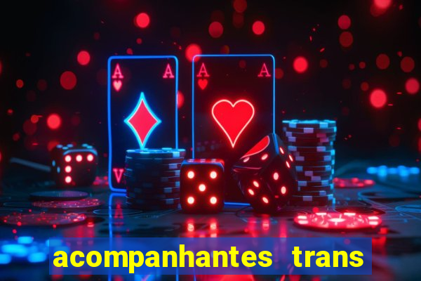 acompanhantes trans baixada fluminense